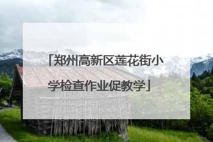 郑州高新区莲花街小学检查作业促教学