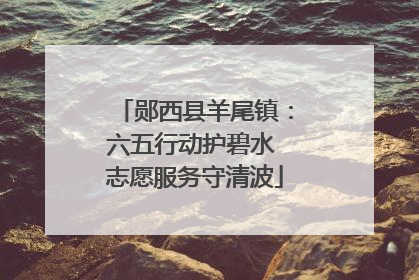 郧西县羊尾镇：六五行动护碧水 志愿服务守清波