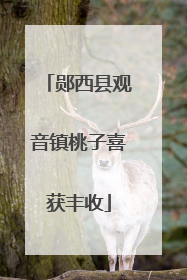 郧西县观音镇桃子喜获丰收
