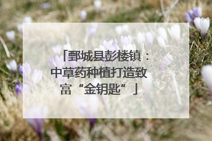鄄城县彭楼镇：中草药种植打造致富“金钥匙”