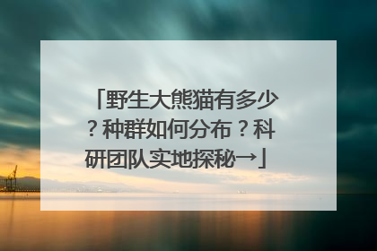 野生大熊猫有多少？种群如何分布？科研团队实地探秘→