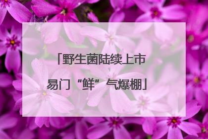 野生菌陆续上市 易门“鲜”气爆棚