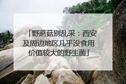 野蘑菇别乱采：西安及周边地区几乎没食用价值较大的野生菌