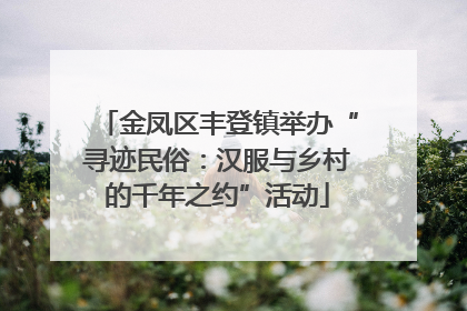 金凤区丰登镇举办“寻迹民俗：汉服与乡村的千年之约”活动