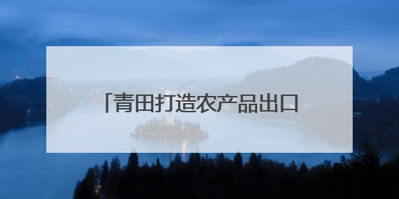 青田打造农产品出口展销平台 以侨为桥，浙农优品越洋出海