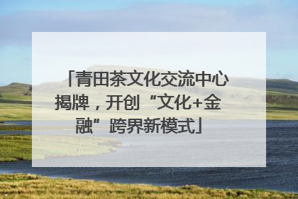 青田茶文化交流中心揭牌，开创“文化+金融”跨界新模式