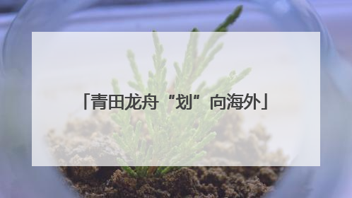 青田龙舟“划”向海外