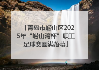 青岛市崂山区2025年“崂山湾杯”职工足球赛圆满落幕
