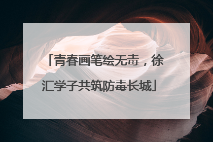 青春画笔绘无毒，徐汇学子共筑防毒长城