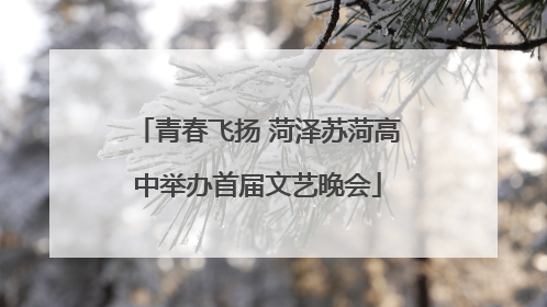 青春飞扬 菏泽苏菏高中举办首届文艺晚会
