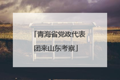 青海省党政代表团来山东考察