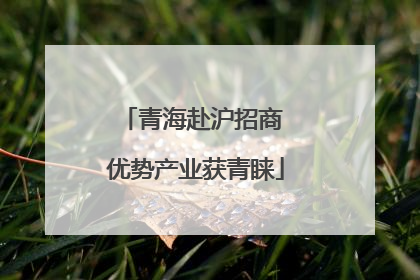 青海赴沪招商 优势产业获青睐