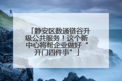 静安区数通链谷升级公共服务！这个新中心将帮企业做好“开门四件事”