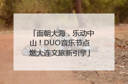 面朝大海，乐动中山！DUO音乐节点燃大连文旅新引擎