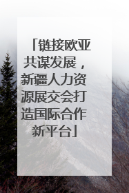 链接欧亚共谋发展，新疆人力资源展交会打造国际合作新平台