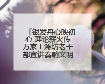 银发丹心映初心 理论薪火传万家！潍坊老干部宣讲奏响文明新韵
