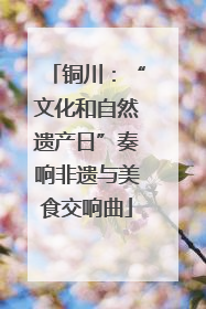 铜川：“文化和自然遗产日”奏响非遗与美食交响曲