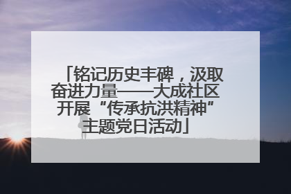 铭记历史丰碑，汲取奋进力量——大成社区开展“传承抗洪精神”主题党日活动