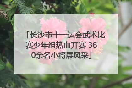 长沙市十一运会武术比赛少年组热血开赛 360余名小将展风采