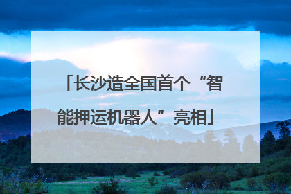 长沙造全国首个“智能押运机器人”亮相