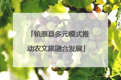 镇原县多元模式推动农文旅融合发展