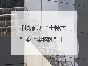 镇原县 “土特产”变“金招牌”