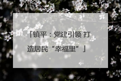 镇平：党建引领 打造居民“幸福里”