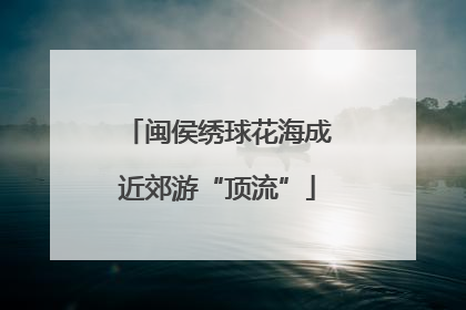 闽侯绣球花海成近郊游“顶流”
