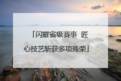 闪耀省级赛事  匠心技艺斩获多项殊荣