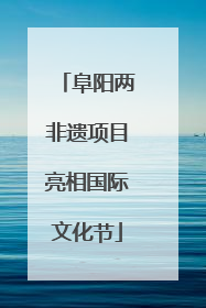 阜阳两非遗项目亮相国际文化节