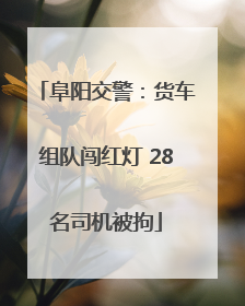 阜阳交警：货车组队闯红灯 28名司机被拘