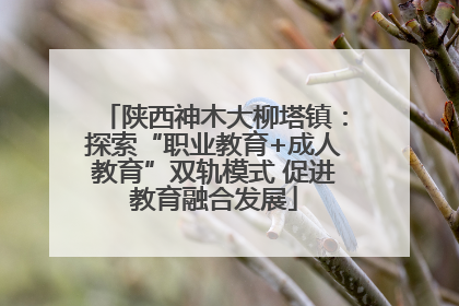 陕西神木大柳塔镇：探索“职业教育+成人教育”双轨模式 促进教育融合发展