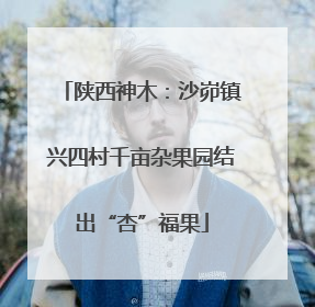 陕西神木：沙峁镇兴四村千亩杂果园结出“杏”福果