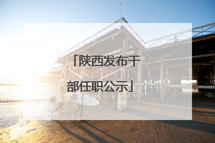 陕西发布干部任职公示