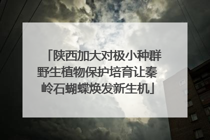 陕西加大对极小种群野生植物保护培育让秦岭石蝴蝶焕发新生机