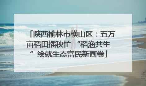 陕西榆林市横山区：五万亩稻田插秧忙 “稻渔共生”绘就生态富民新画卷