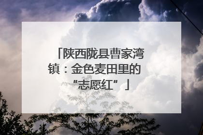 陕西陇县曹家湾镇：金色麦田里的“志愿红”