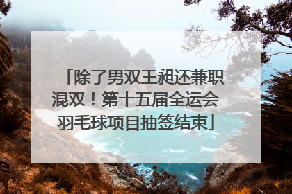 除了男双王昶还兼职混双！第十五届全运会羽毛球项目抽签结束