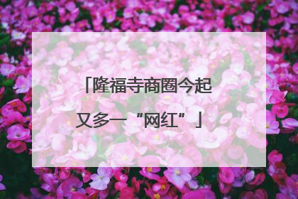隆福寺商圈今起又多一“网红”
