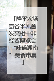 隆平农场袁谷米乳首发亮相中非经贸博览会“味道湖南”美食市集