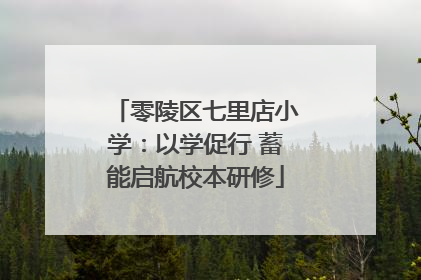 零陵区七里店小学：以学促行 蓄能启航校本研修