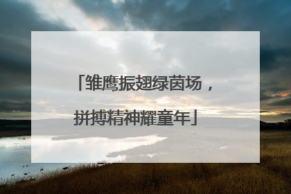雏鹰振翅绿茵场，拼搏精神耀童年