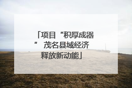 项目“积厚成器” 茂名县域经济释放新动能