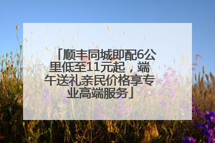 顺丰同城即配6公里低至11元起，端午送礼亲民价格享专业高端服务