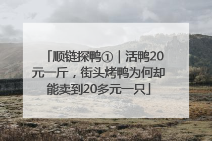 顺链探鸭①｜活鸭20元一斤，街头烤鸭为何却能卖到20多元一只