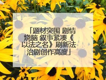 题材突围 剧情烧脑 叙事紧凑《以法之名》刷新法治剧创作高度