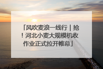 风吹麦浪一线行｜抢！河北小麦大规模机收作业正式拉开帷幕