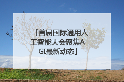 首届国际通用人工智能大会聚焦AGI最新动态