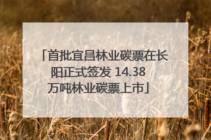 首批宜昌林业碳票在长阳正式签发 14.38万吨林业碳票上市