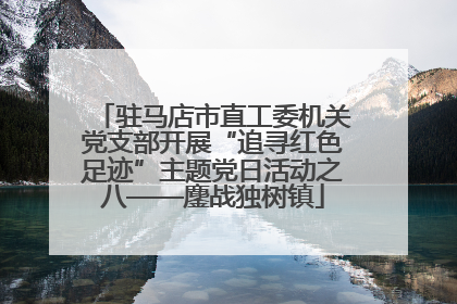 驻马店市直工委机关党支部开展“追寻红色足迹”主题党日活动之八——鏖战独树镇